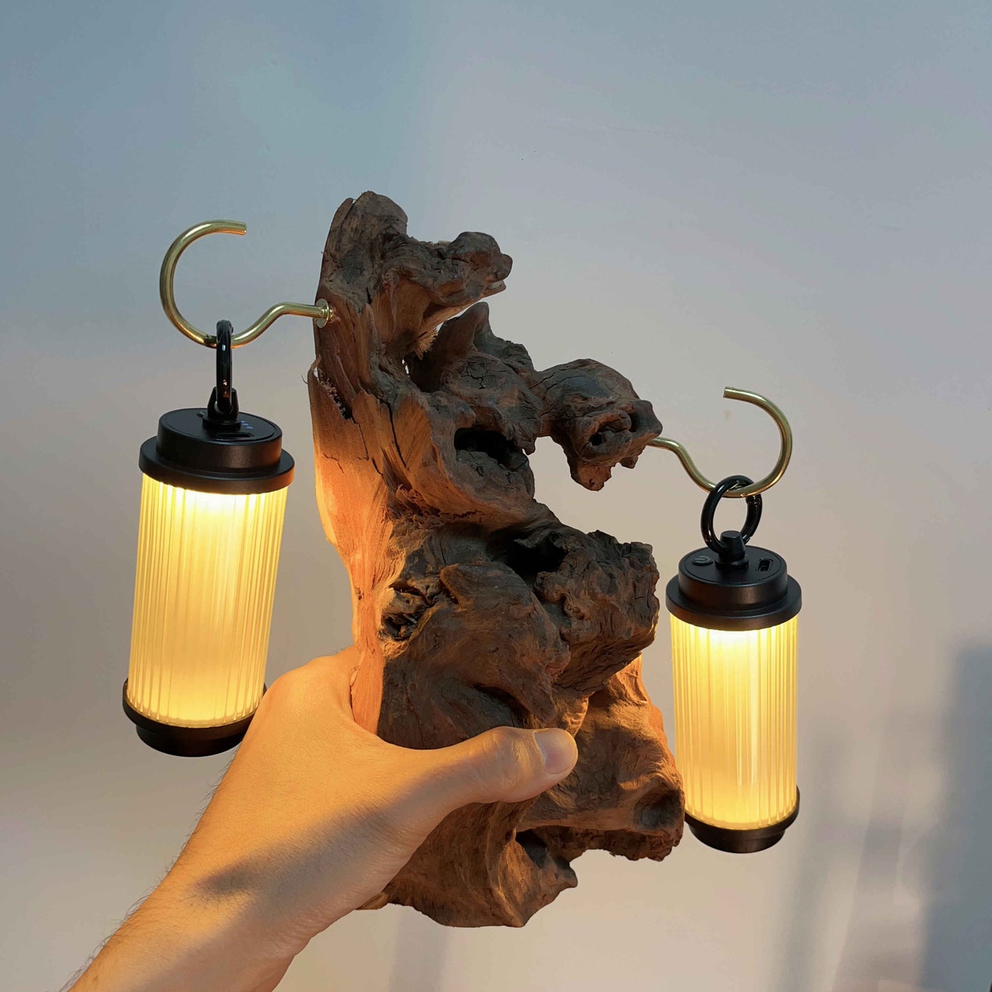 Driftwood Table Lamp,Wooden Night Lamp,Handcrafted Root Lamp