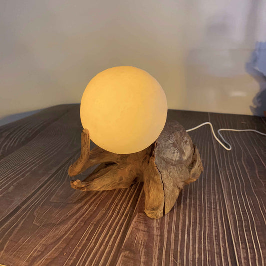 Driftwood Table Lamp,Wooden Night Lamp,Handcrafted Root Lamp