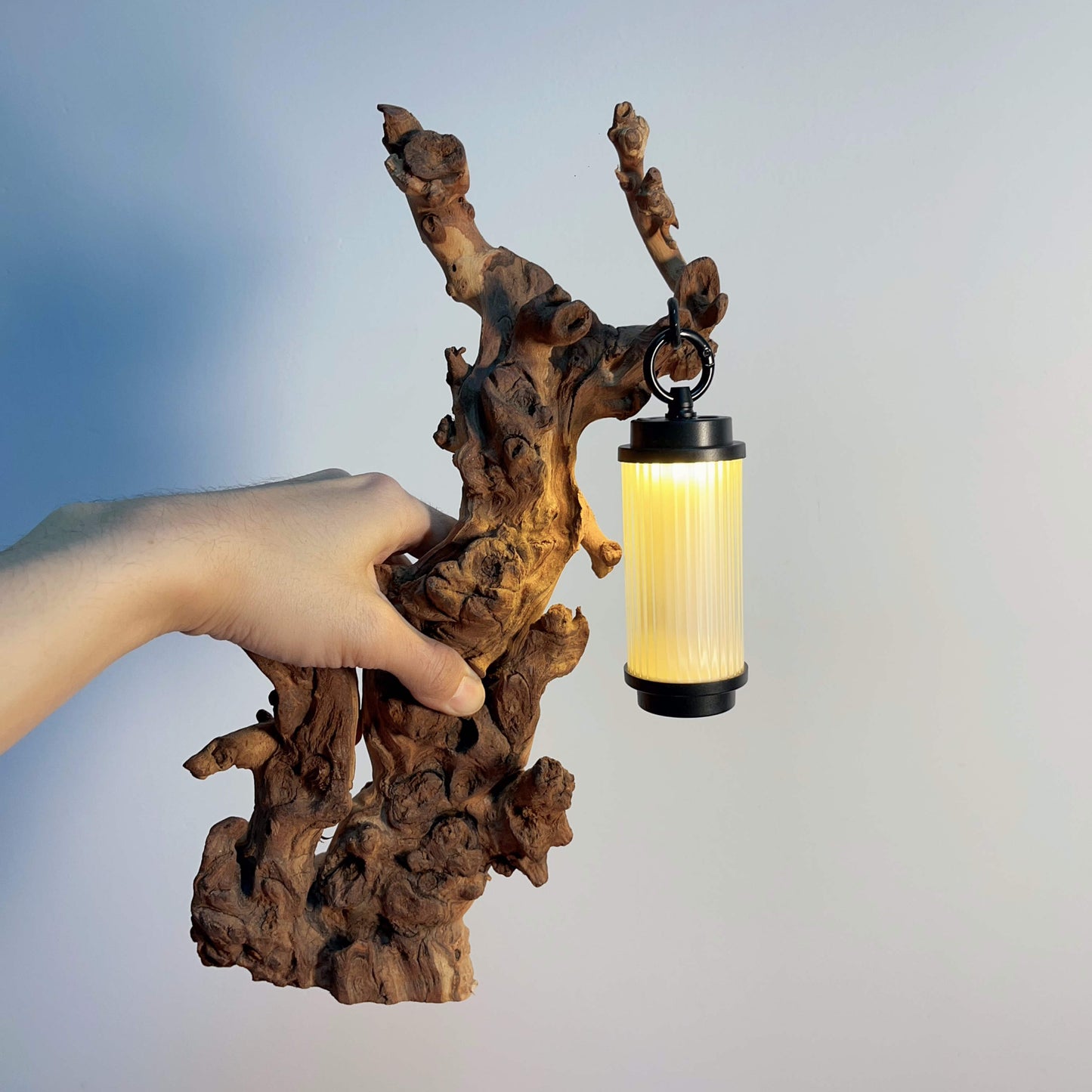 Driftwood Table Lamp,Wooden Night Lamp,Handcrafted Root Lamp