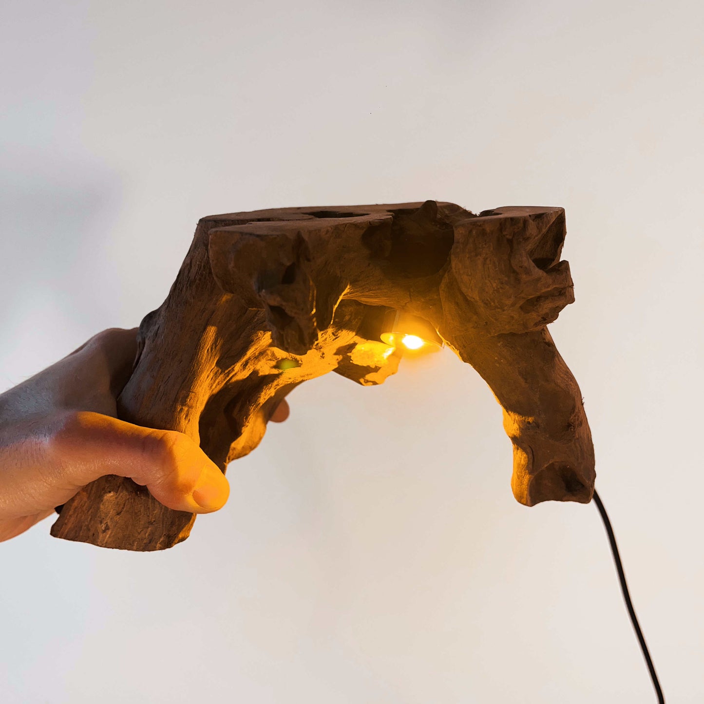 Driftwood Table Lamp,Wooden Night Lamp,Handcrafted Root Lamp