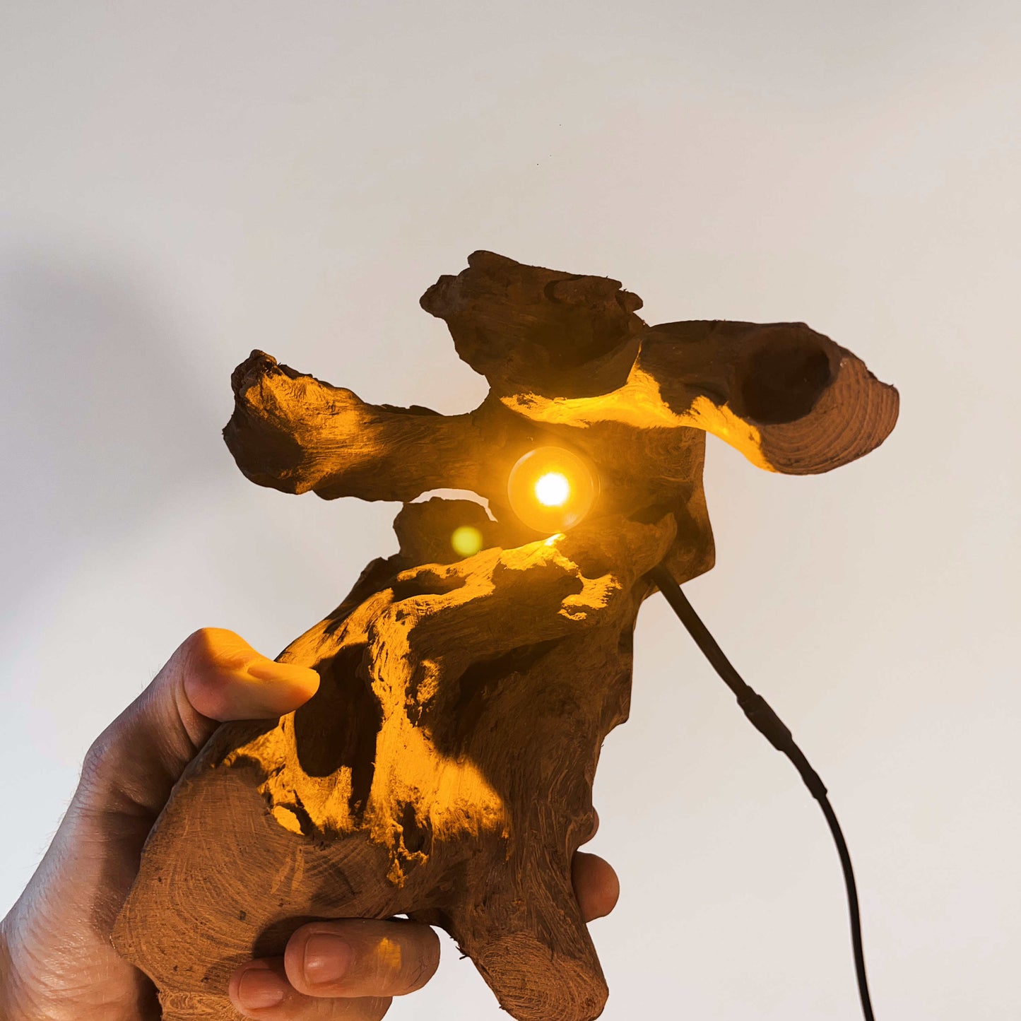 Driftwood Table Lamp,Wooden Night Lamp,Handcrafted Root Lamp