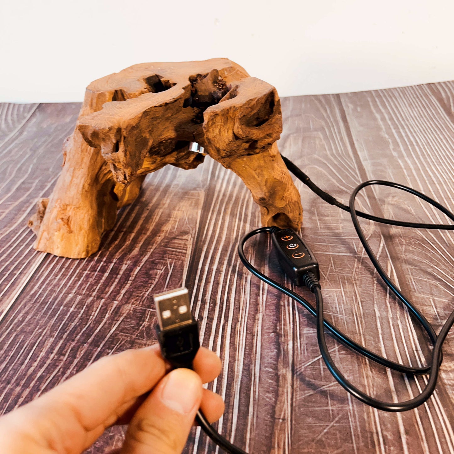 Driftwood Table Lamp,Wooden Night Lamp,Handcrafted Root Lamp