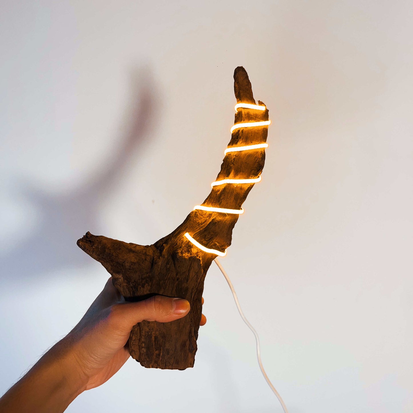 Driftwood Table Lamp,Wooden Night Lamp,Handcrafted Root Lamp