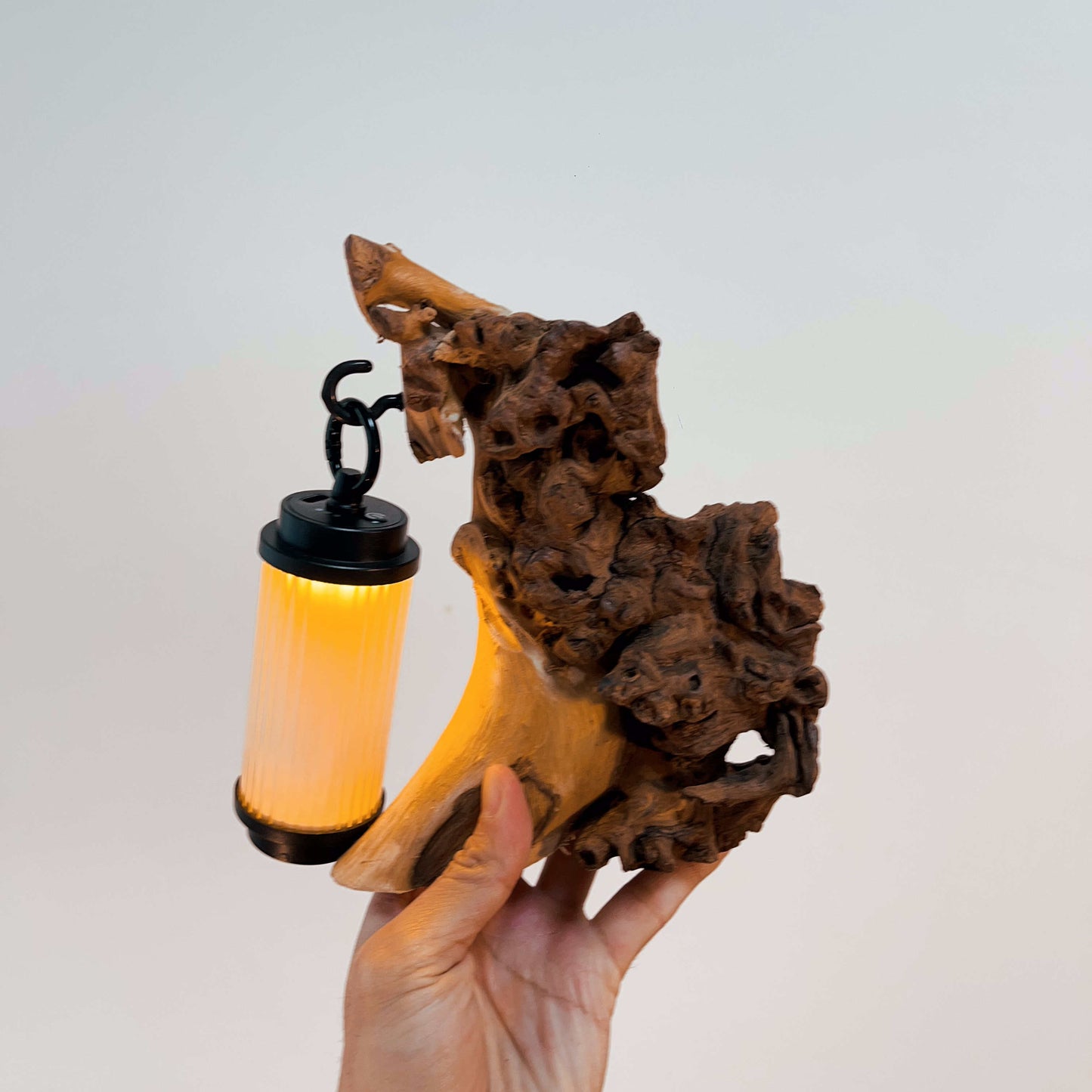 Driftwood Table Lamp,Wooden Night Lamp,Handcrafted Root Lamp