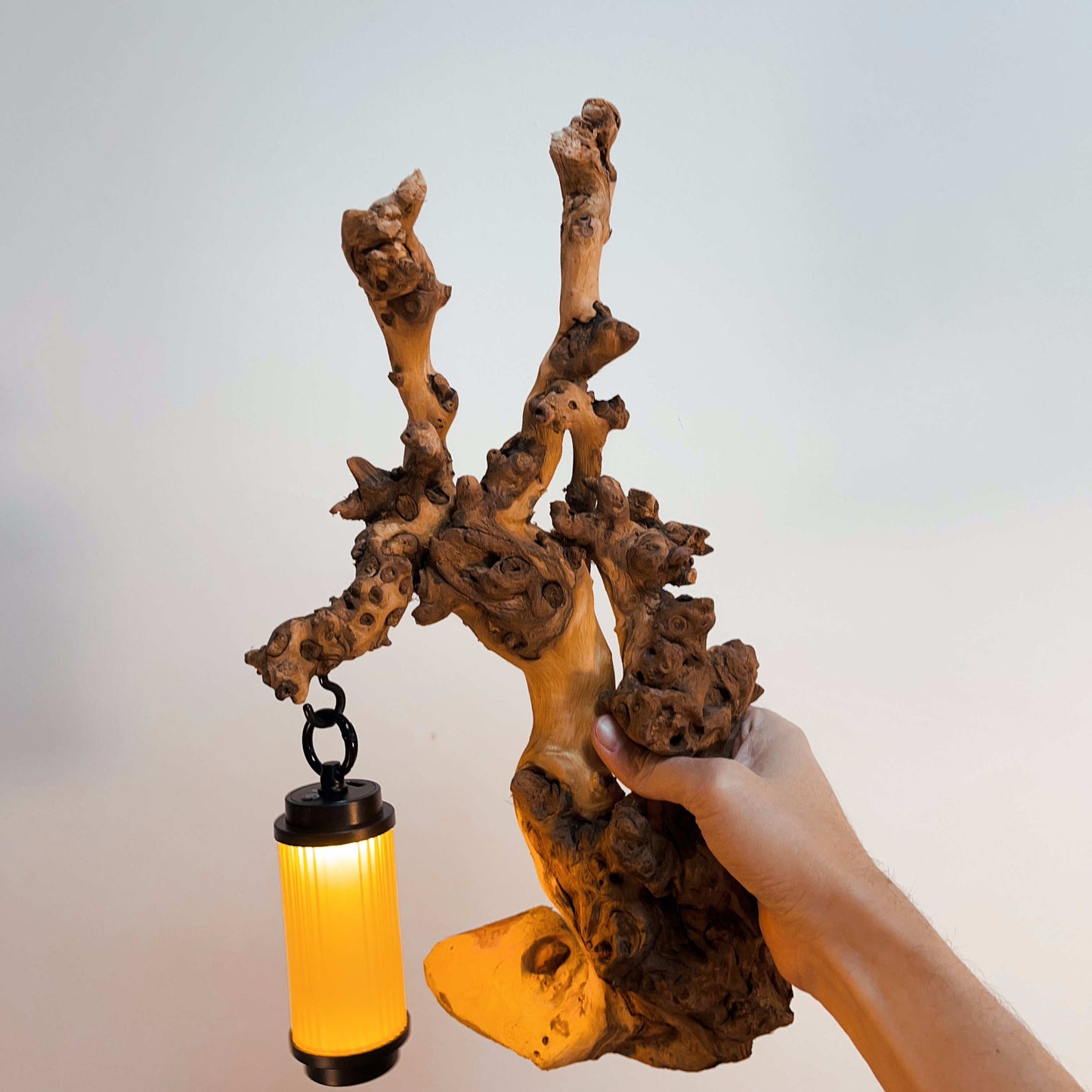 Driftwood Table Lamp,Wooden Night Lamp,Handcrafted Root Lamp