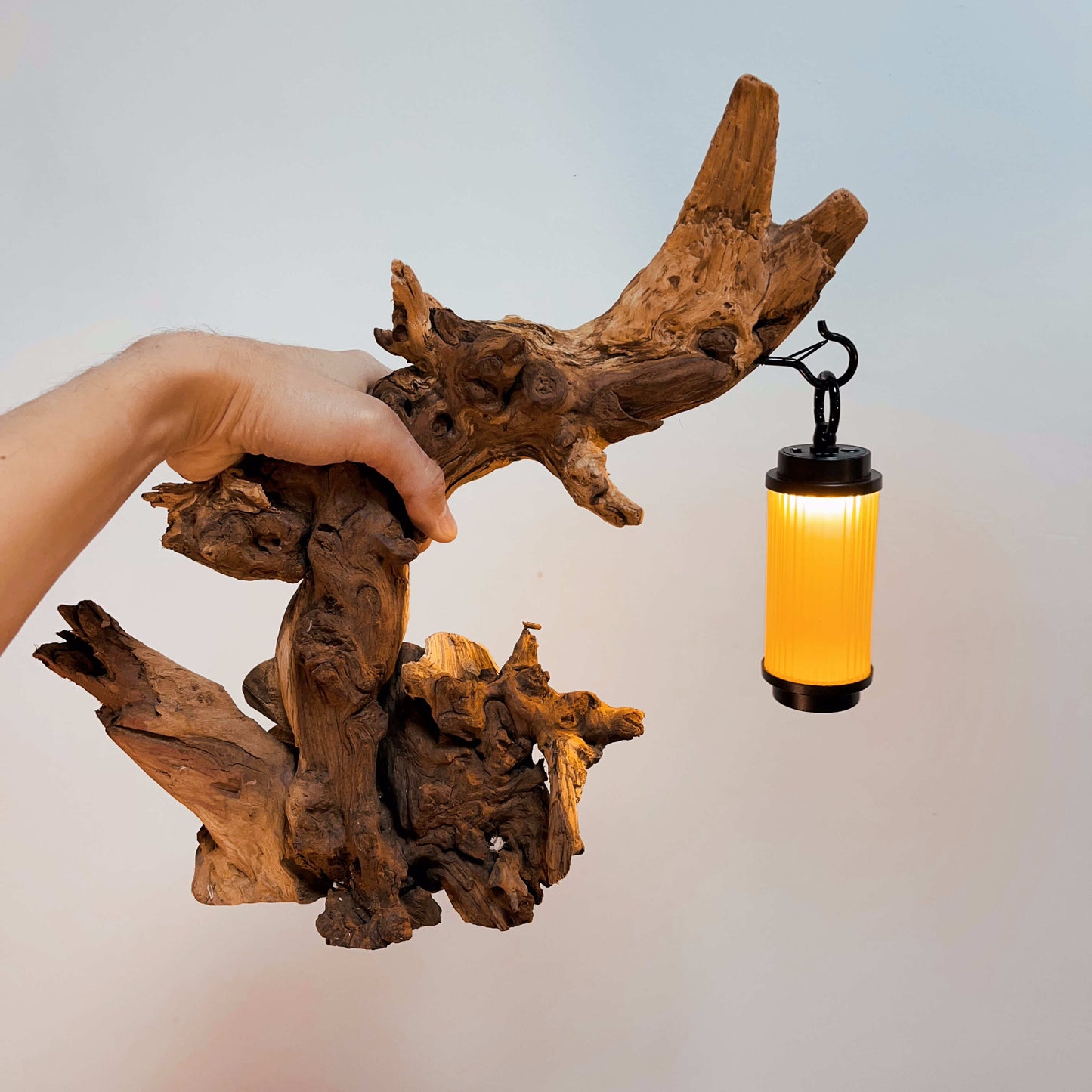Driftwood Table Lamp,Wooden Night Lamp,Handcrafted Root Lamp
