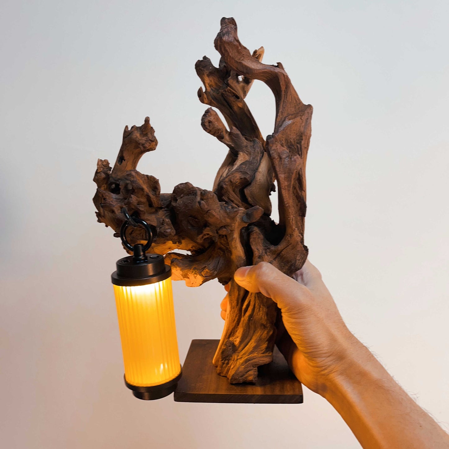 Driftwood Table Lamp,Wooden Night Lamp,Handcrafted Root Lamp
