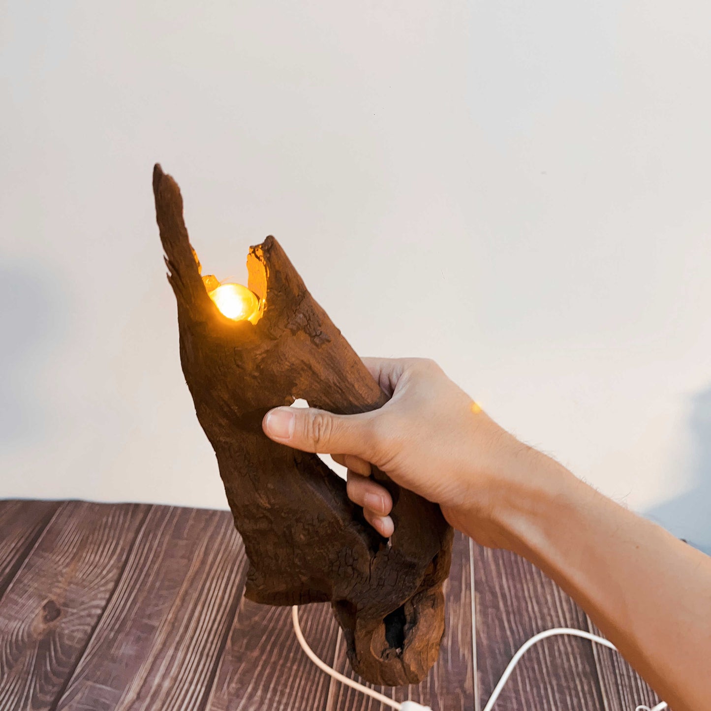 Driftwood Table Lamp,Wooden Night Lamp,Handcrafted Root Lamp